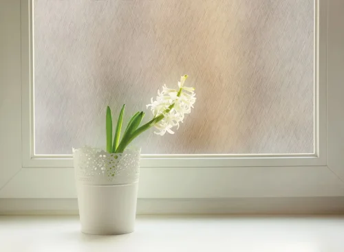 Frostet og nøytralt