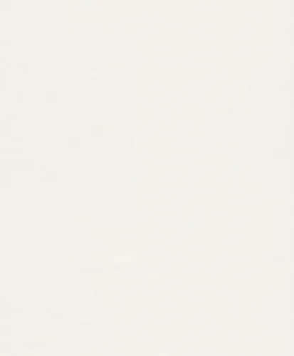 WALLTON Fiberdec/Profivlies 165814 overmalbar