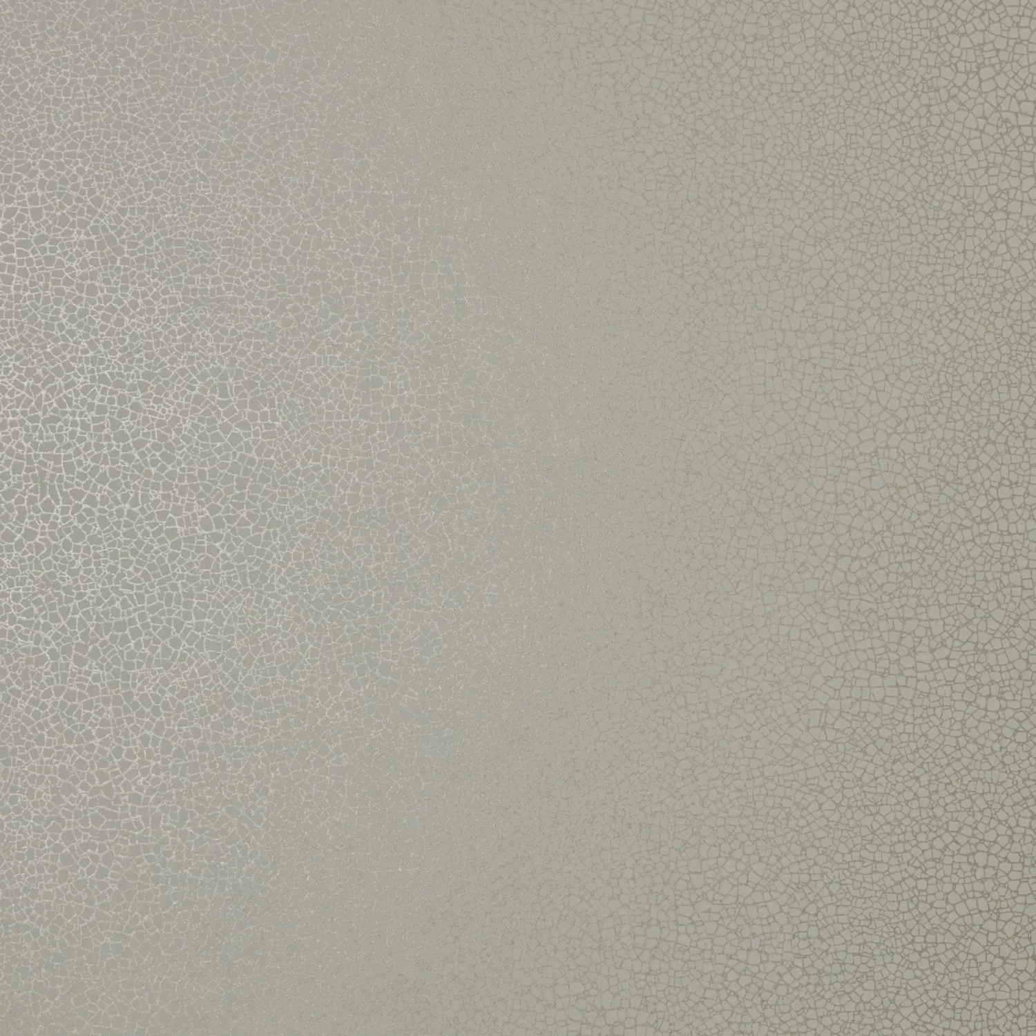 1838 Elodie 1907-141-04