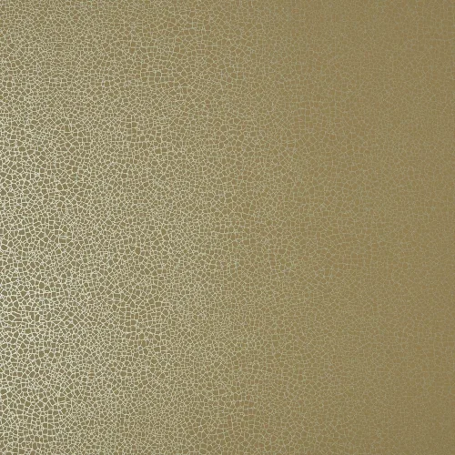 1838 Elodie 1907-141-07