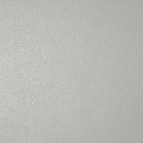 1838 Elodie 1907-141-08