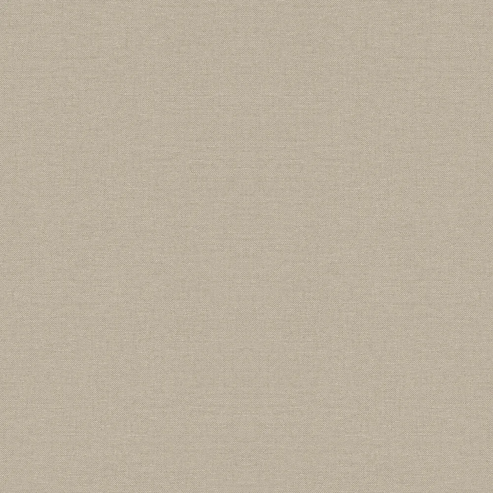 Sakura 295558/Plains