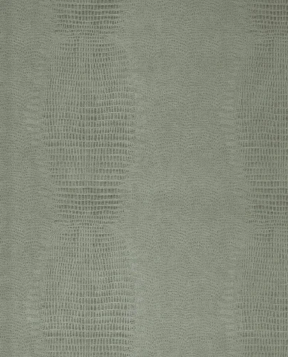 Skin 300574/Unify 333239