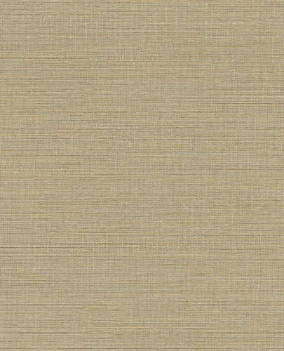 Canvas 313501/Unify 333280