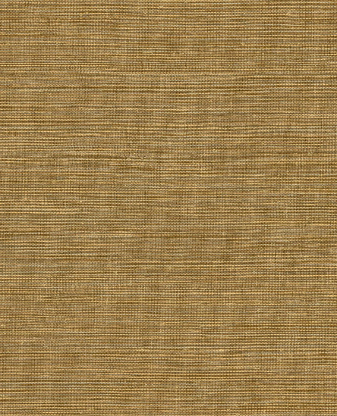 Canvas 313502/Unify 333281