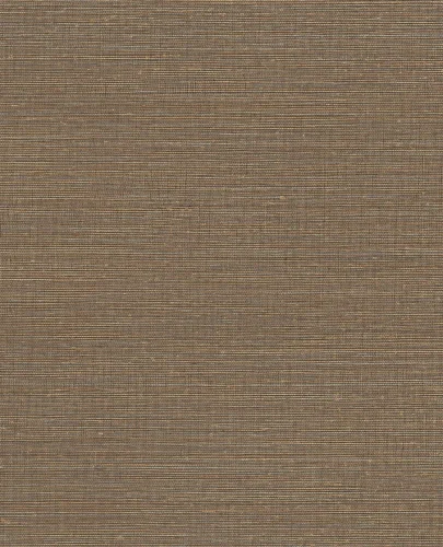 Canvas 313503/Unify 333282