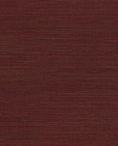 Canvas 313505/Unify 333284