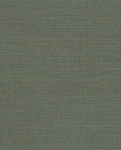 Canvas 313507/Unify 333286