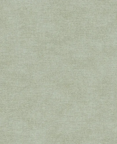 Canvas 313557/Unify 333276