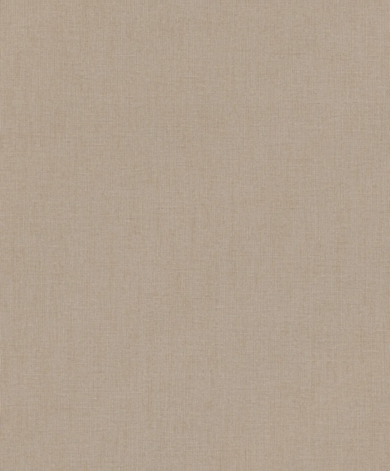 Florentine IV 484656