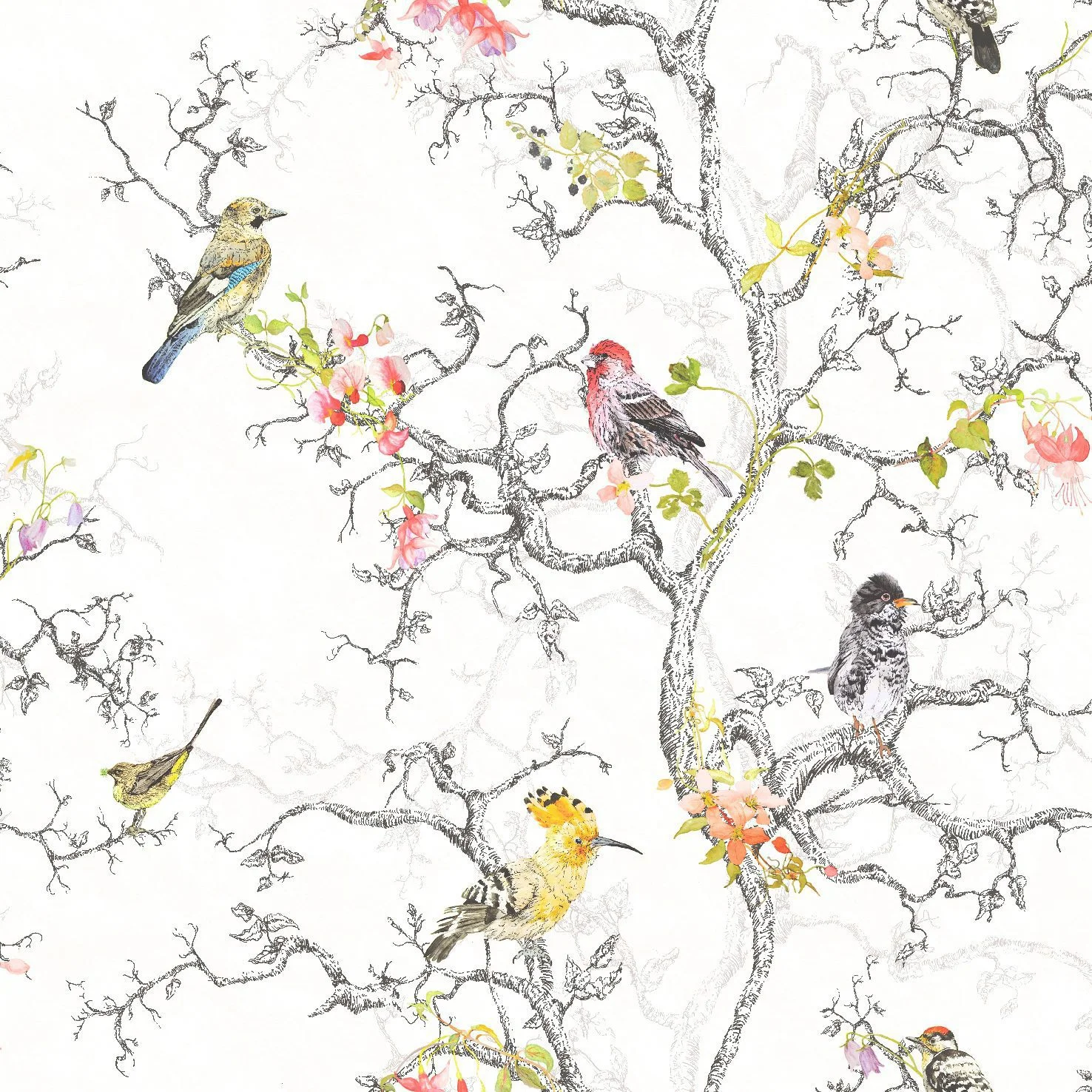 Birdwatch 97892/kartongsalg