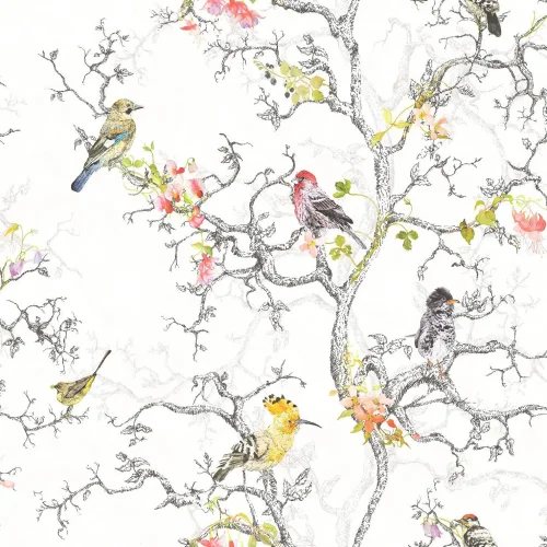 Birdwatch 97892/kartongsalg