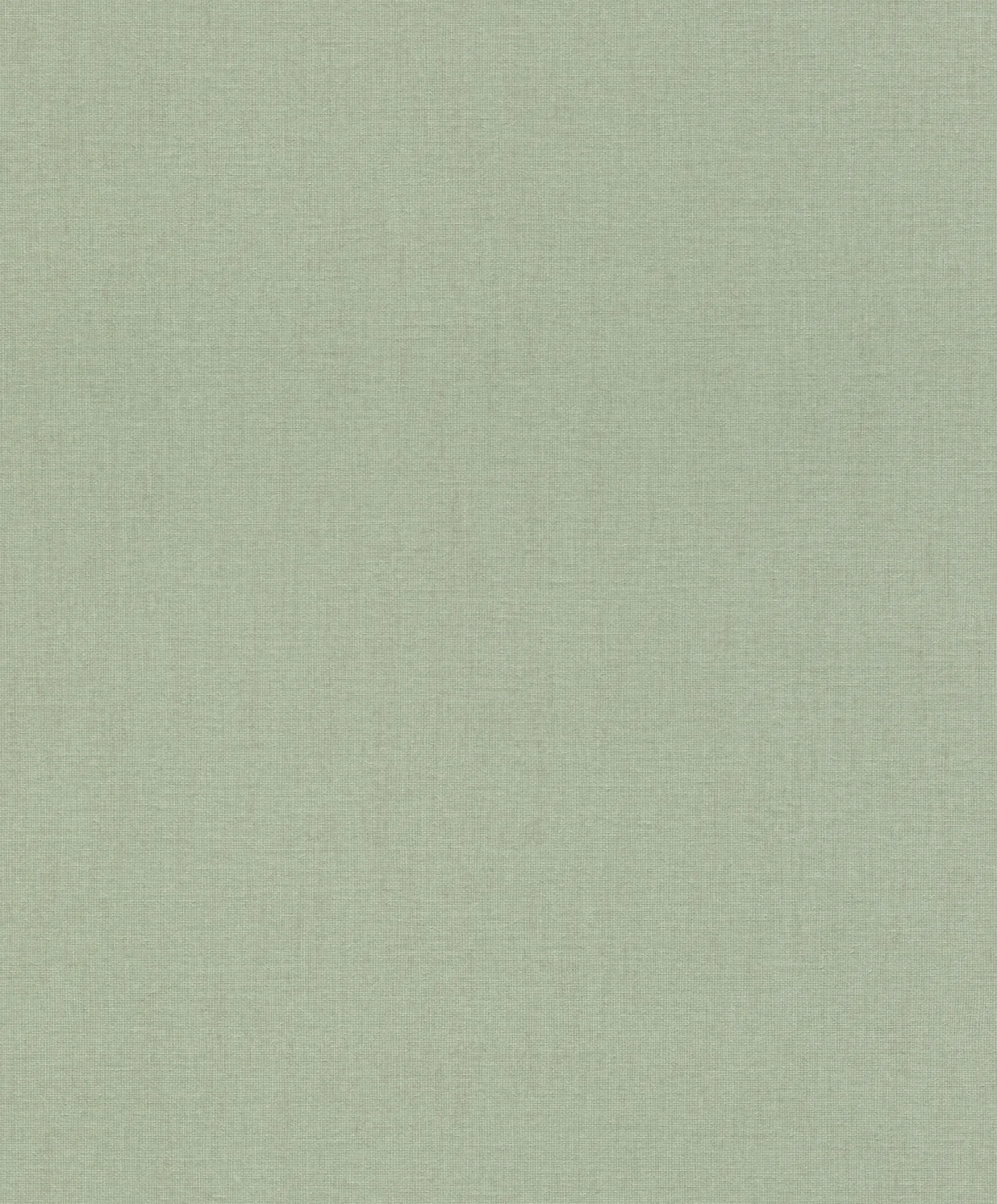 Florentine IV 484588