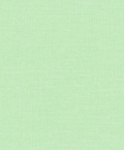 Maison/Little Dreamers MN1009