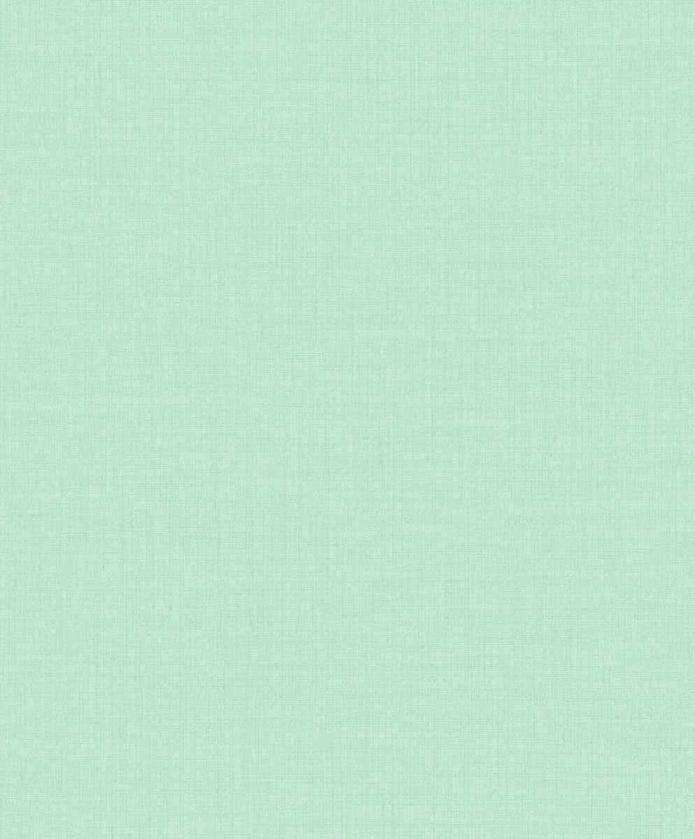 Maison/Little Dreamers MN1011