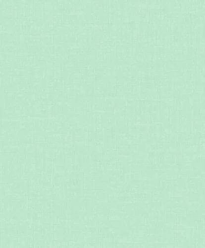 Maison/Little Dreamers MN1011