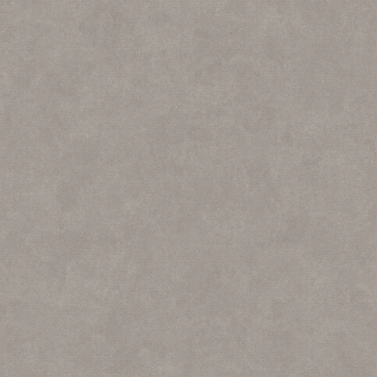 Sans ST1923 Greige lin