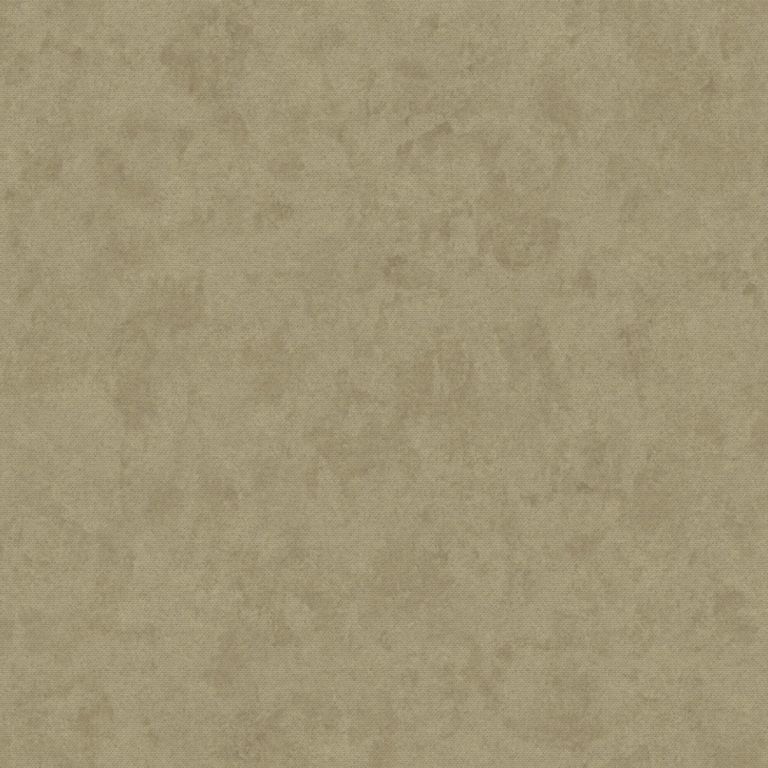 Sans ST1924 Curious Mind