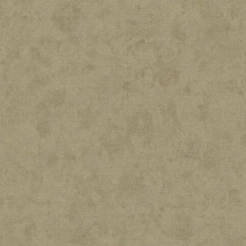 Sans ST1924 Curious Mind