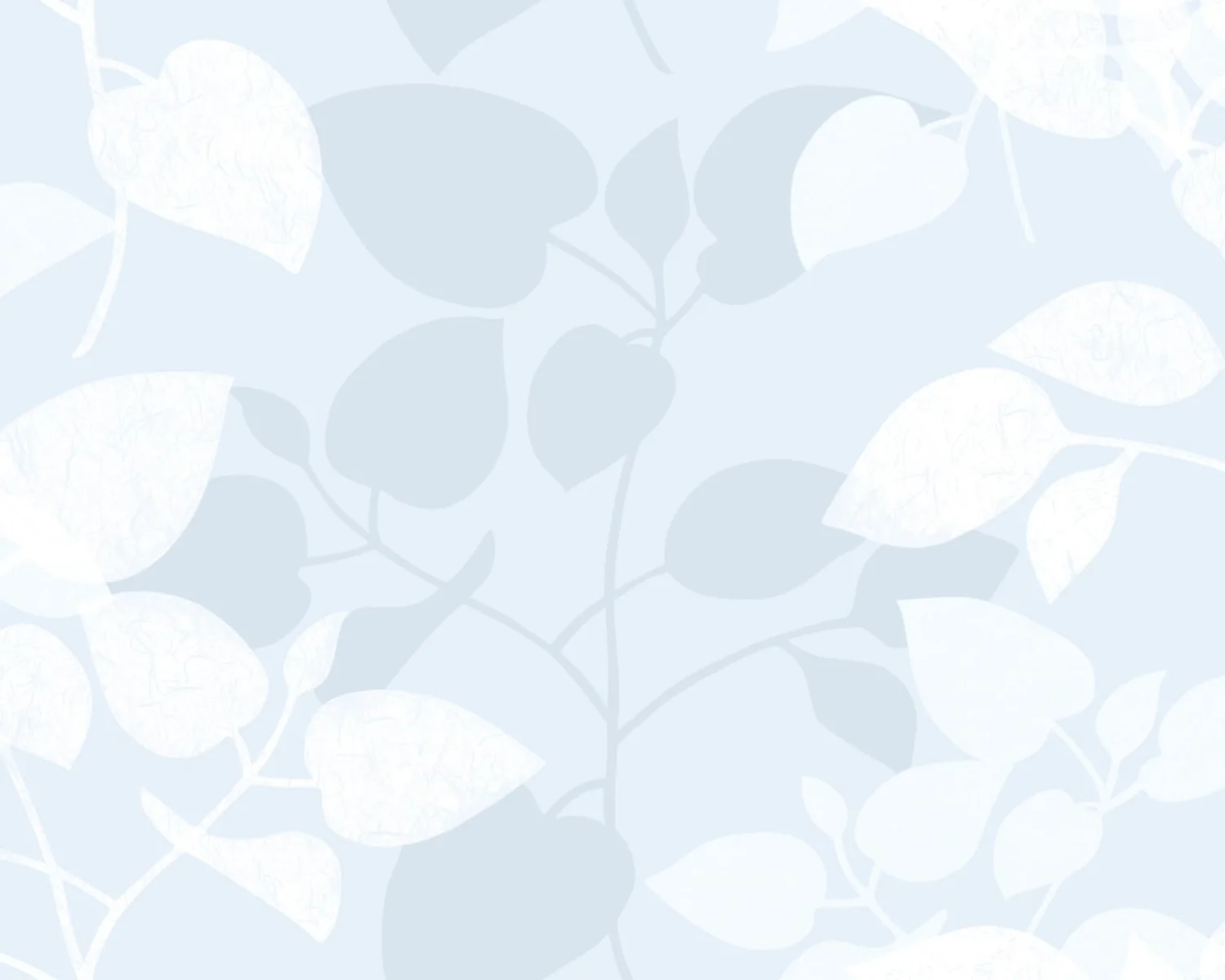 Vindusfolie 216-0018  Amena 45cm x 15m