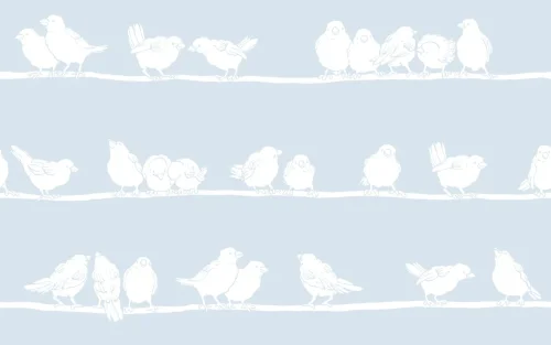 Vindusfolie 216-0020  Filippa 45cm x 15m