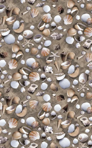 Dekorfolie 343-1010  Skjell 45cm x 1,5m*