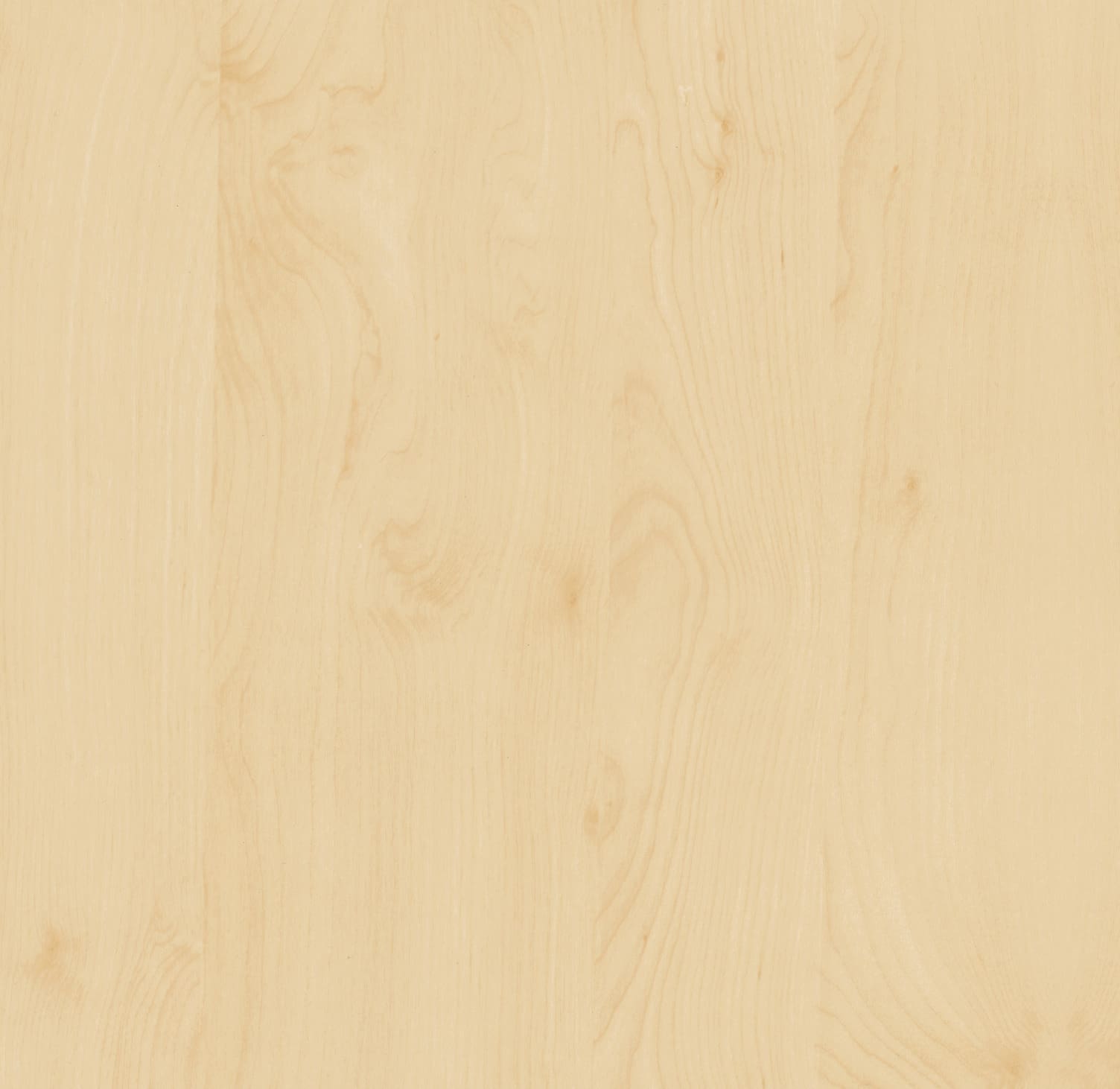 Dekorfolie 200-2875  Bjørk 45cm x 15m