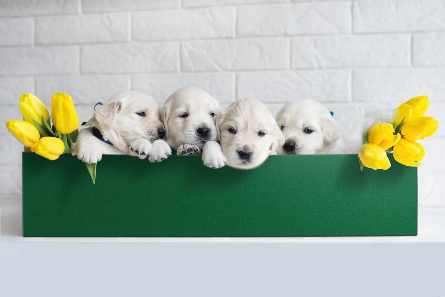 Dekorfolie 348-0003  Velour grønn 45cm x 1m