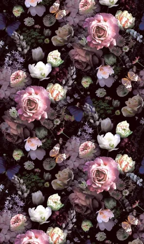 Jackie digitalt motiv 81603