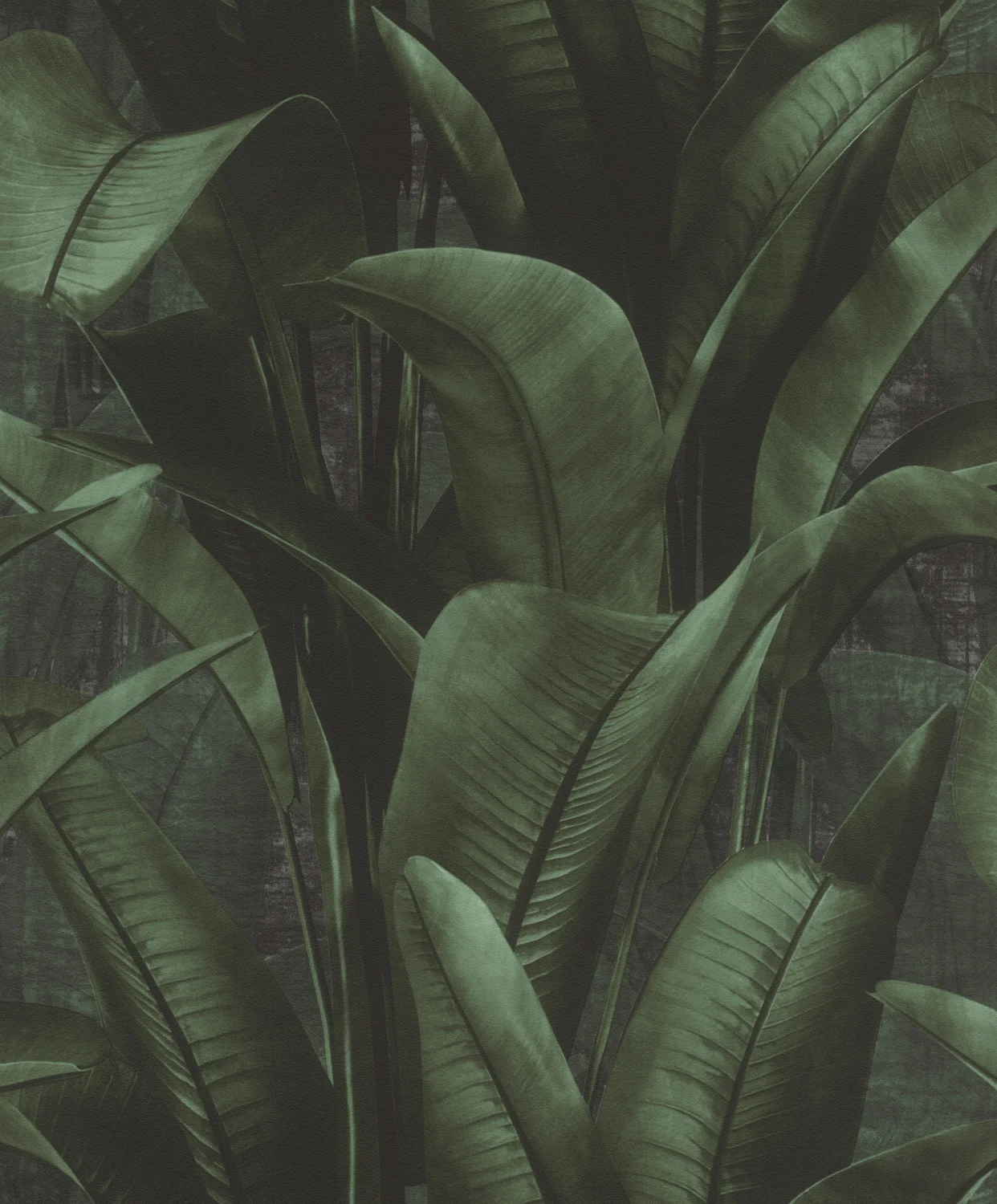 Back to Nature 416237