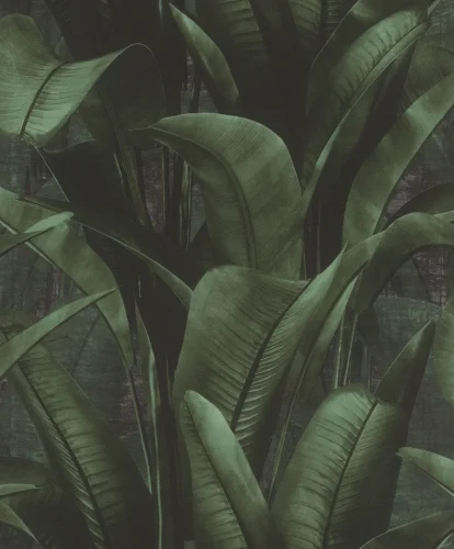 Back to Nature 416237