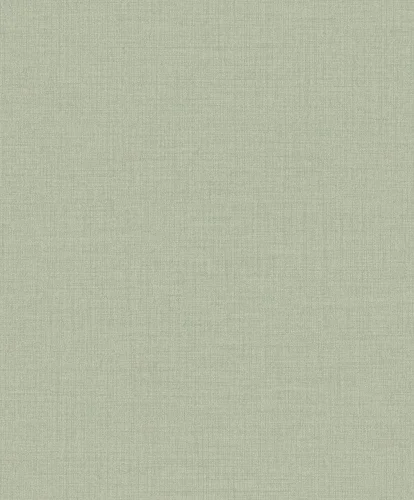 Icon/Little Dreamers IC1013