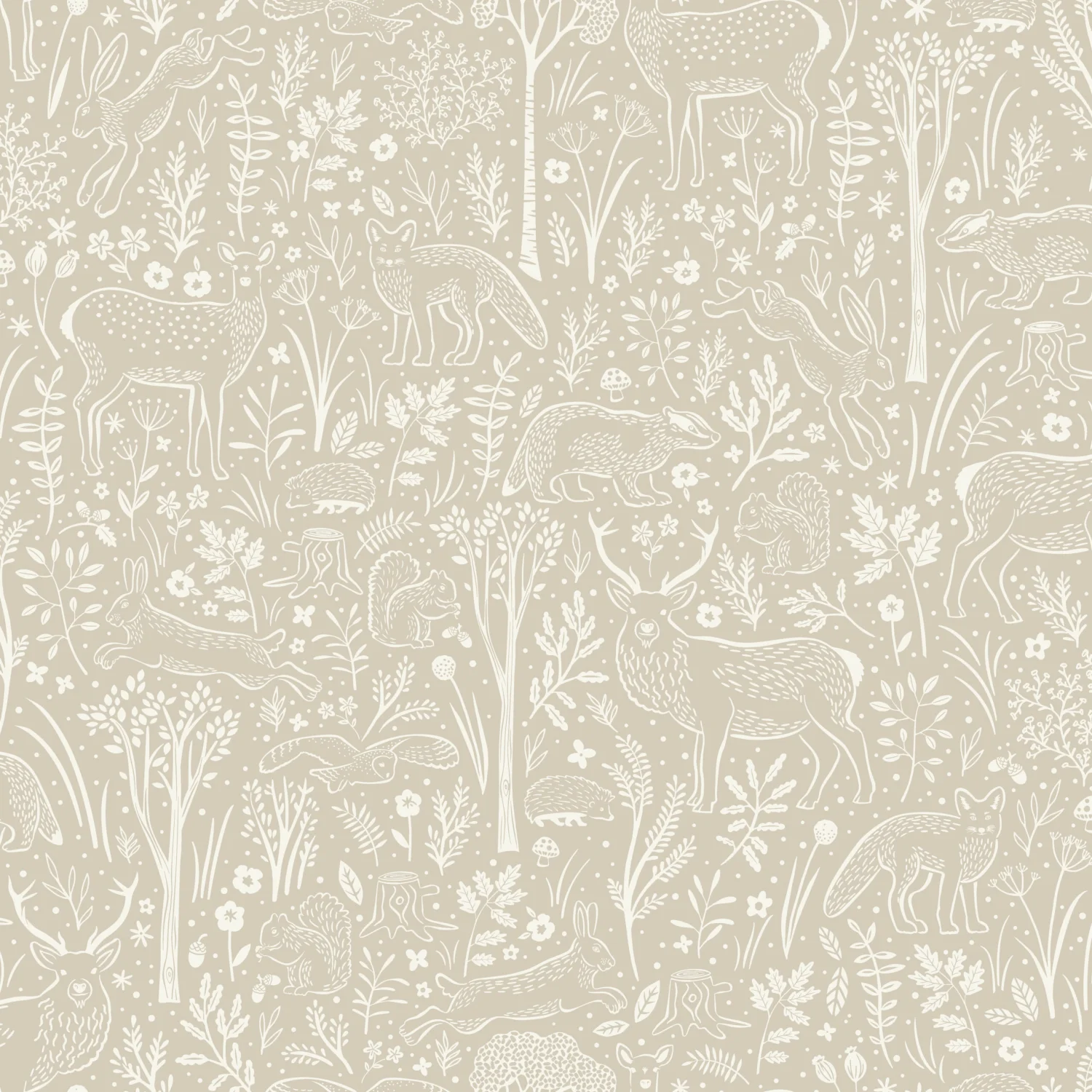 LITTLE DREAMERS LD3403