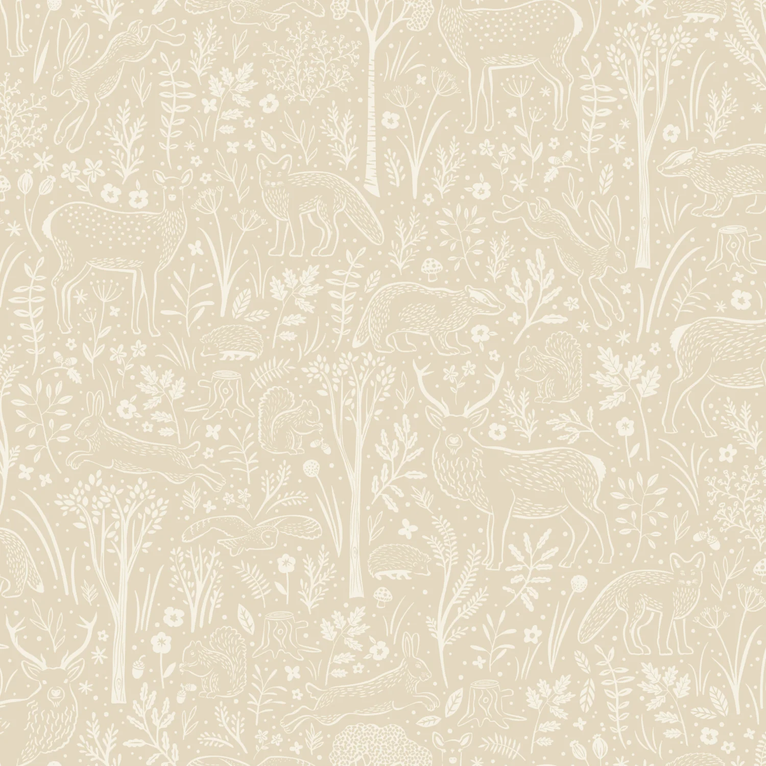 LITTLE DREAMERS LD3419