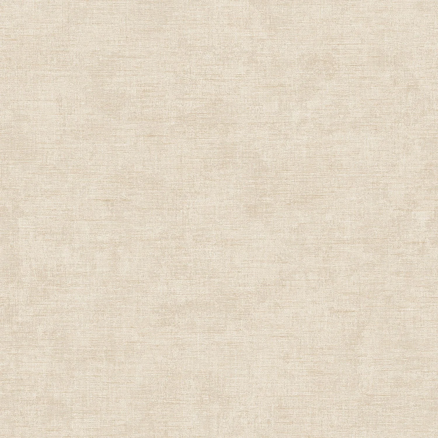 Renaissance RE 521062