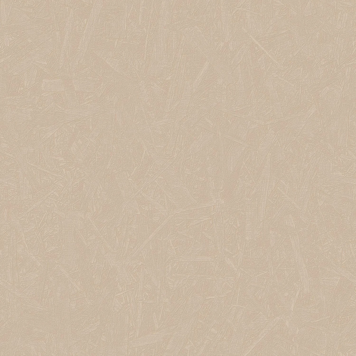 Renaissance RE 521103