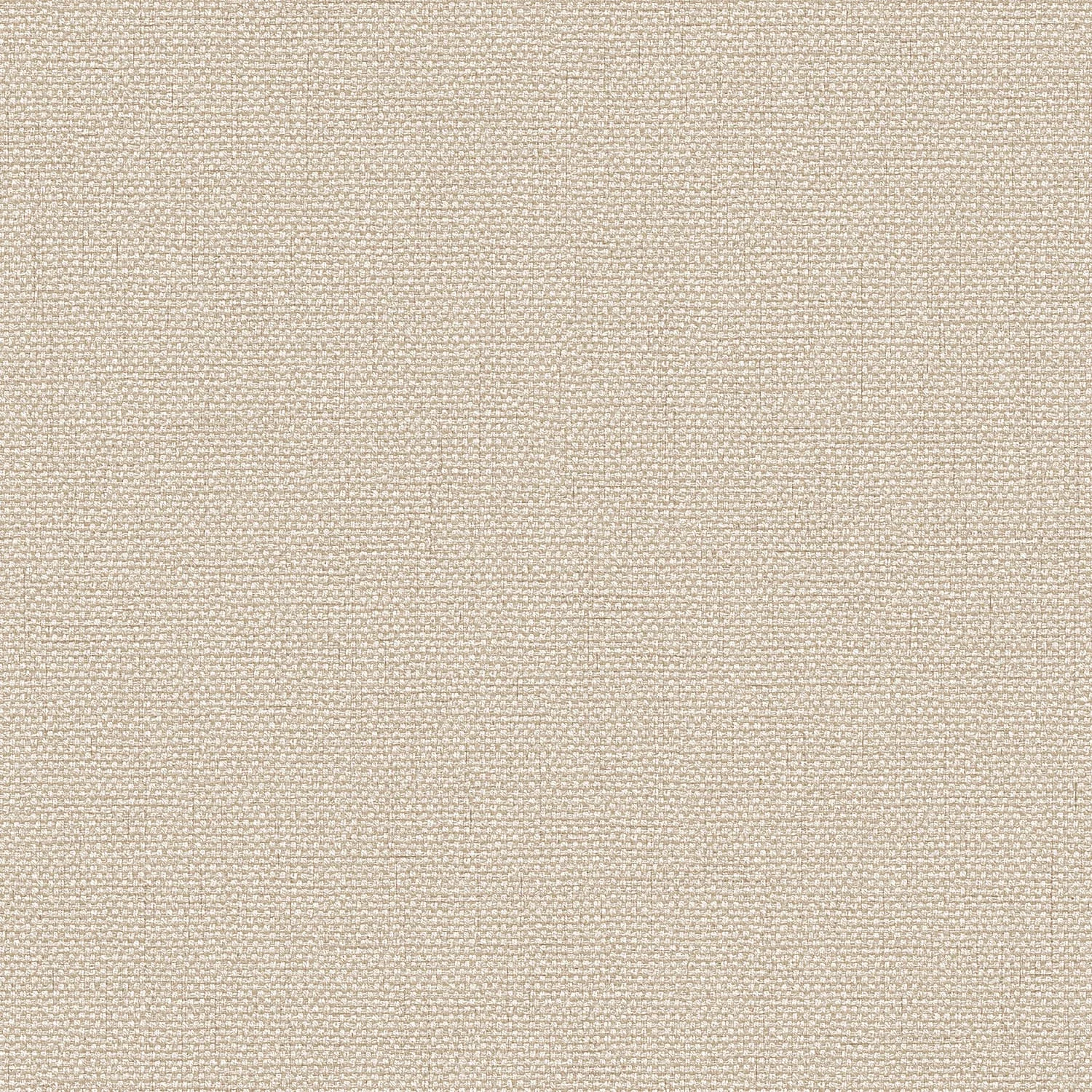 EXCLUSIVE THREADS TP422942