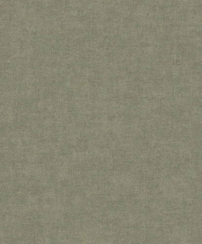 Linum 2/3 TT10011