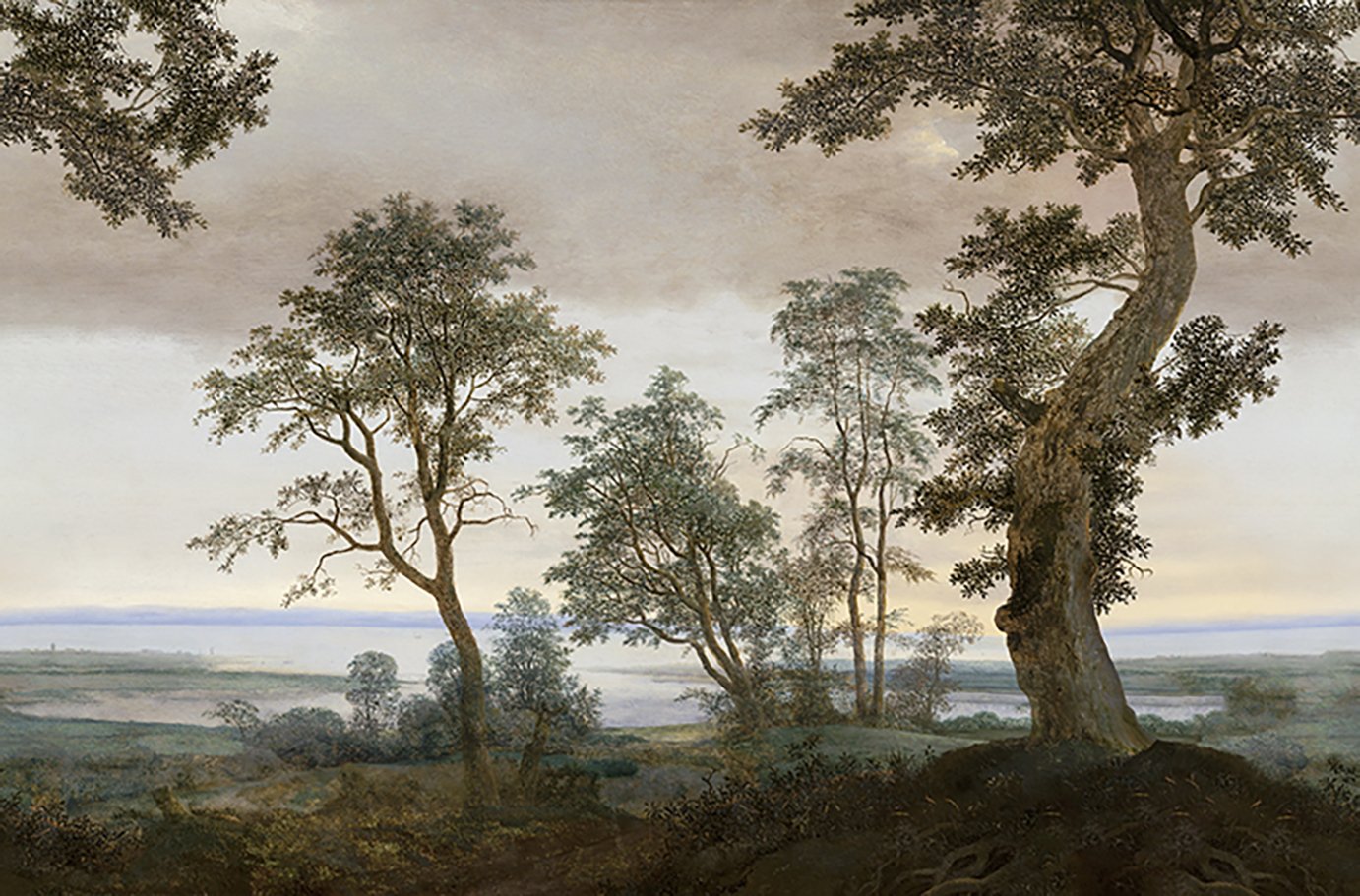 Magnifique 351290 panel 4,24x2,80m