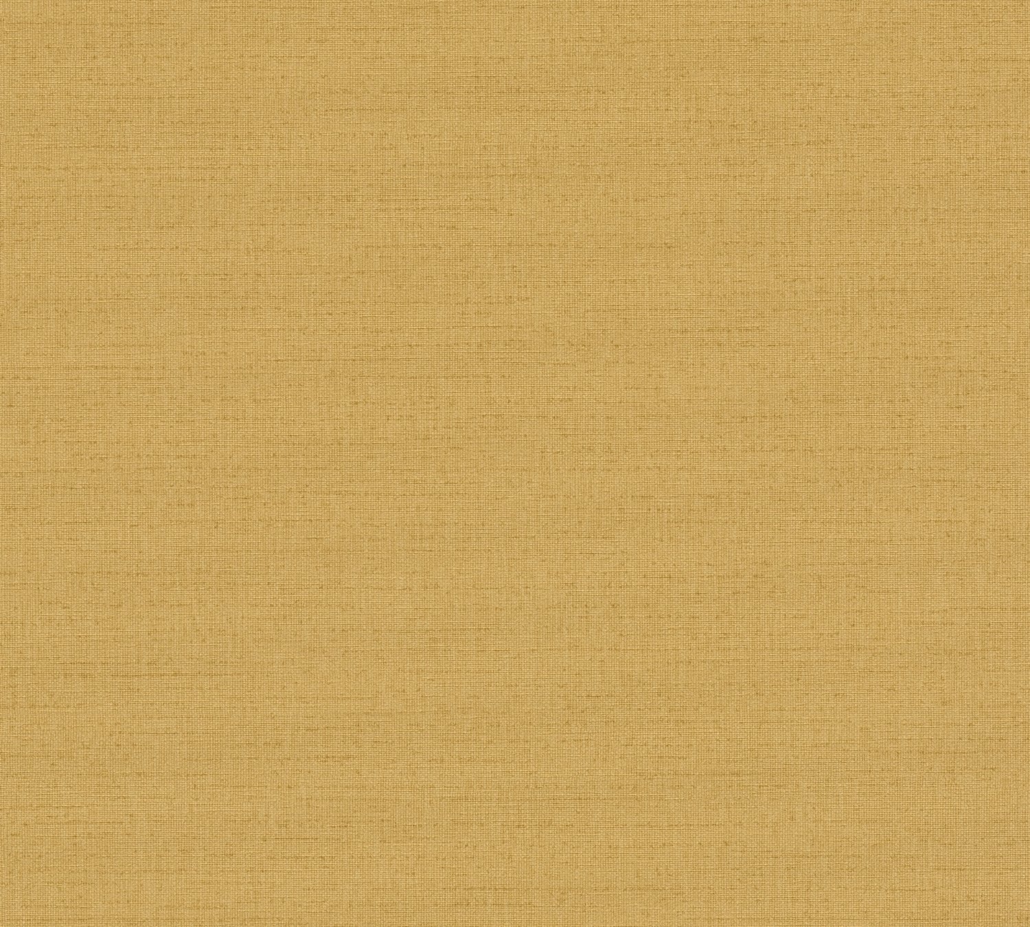 Vibes & Styles 79202-5