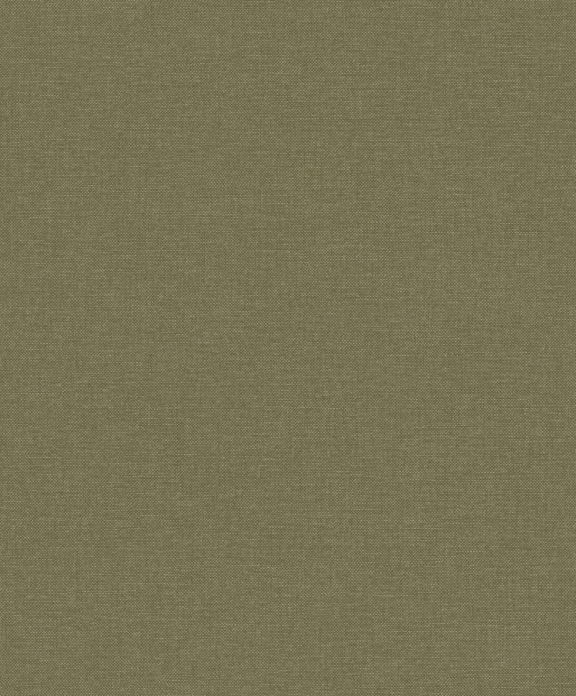 Linum 3 LT10036
