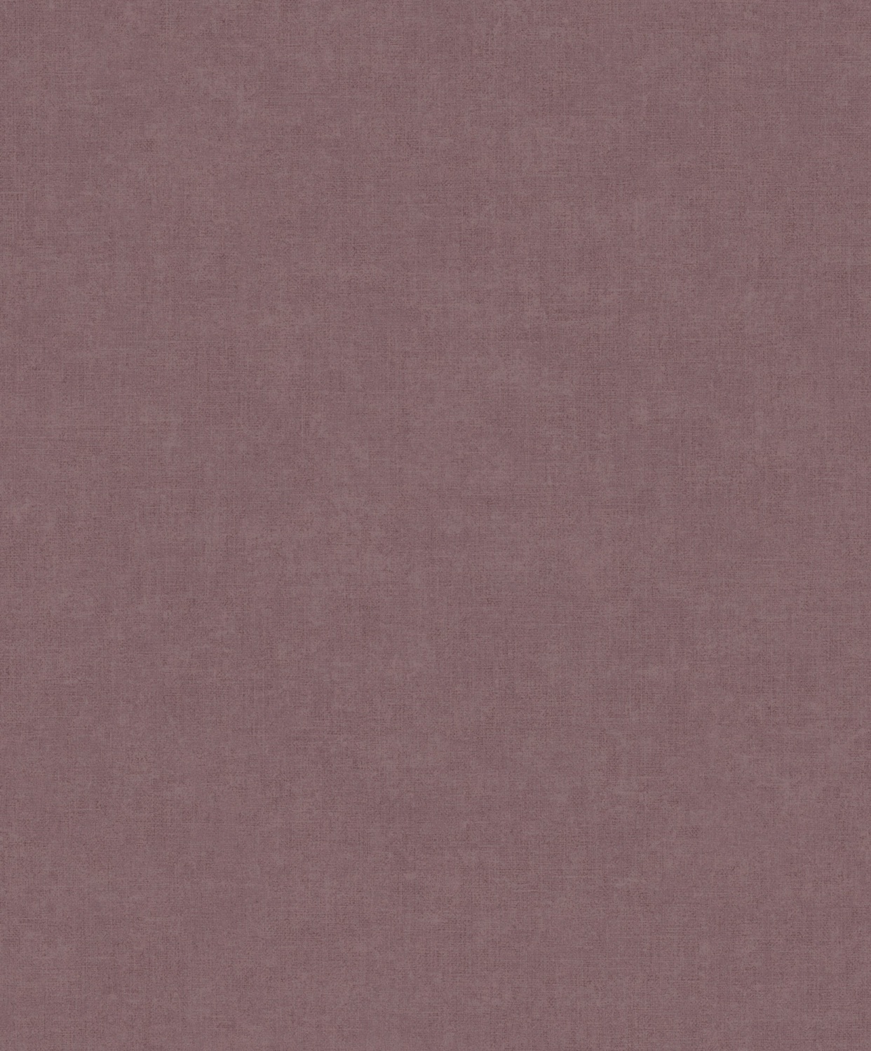 Linum 3 TT10007