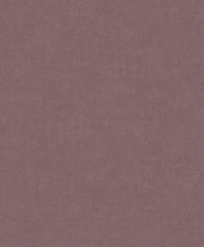 Linum 3 TT10007