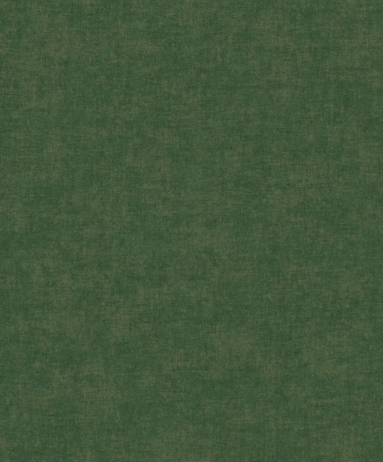 Linum 3 TT10016