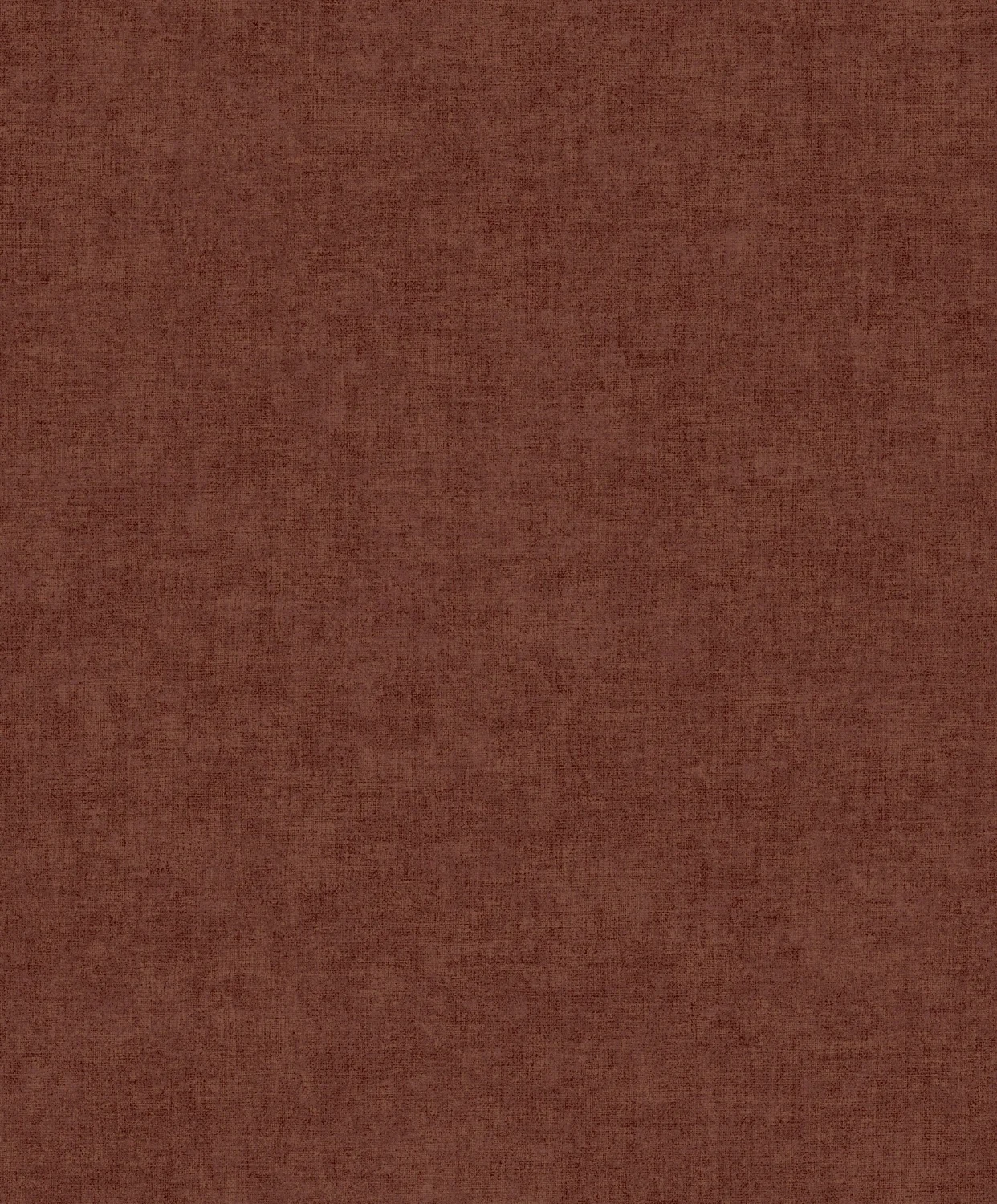 Linum 3 TT10021