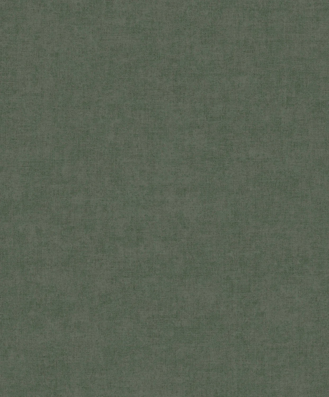 Linum 3 TT10022