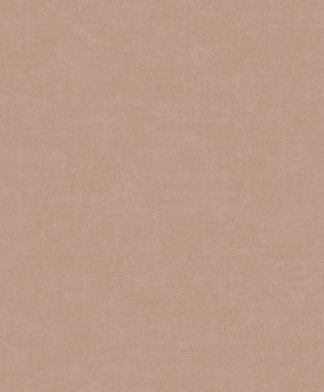 Linum 3 TT10023
