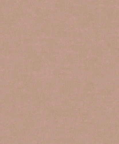 Linum 3 TT10023