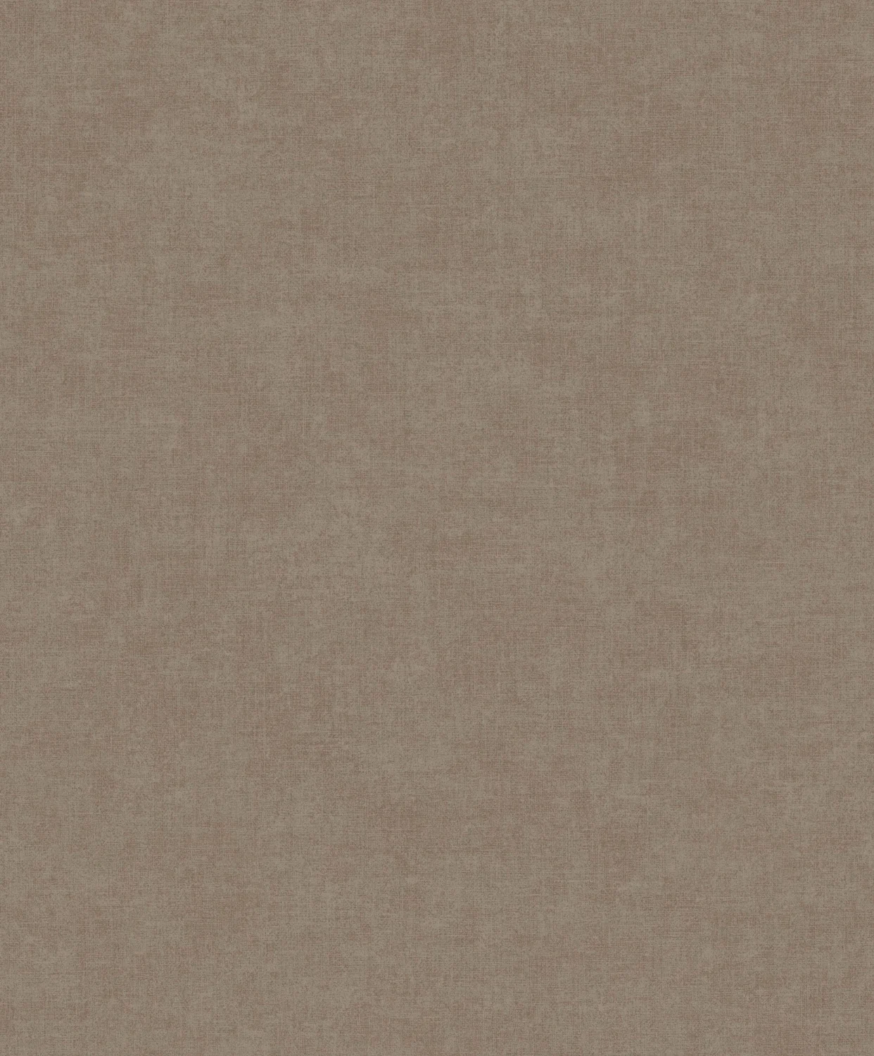 Linum 3 TT10024