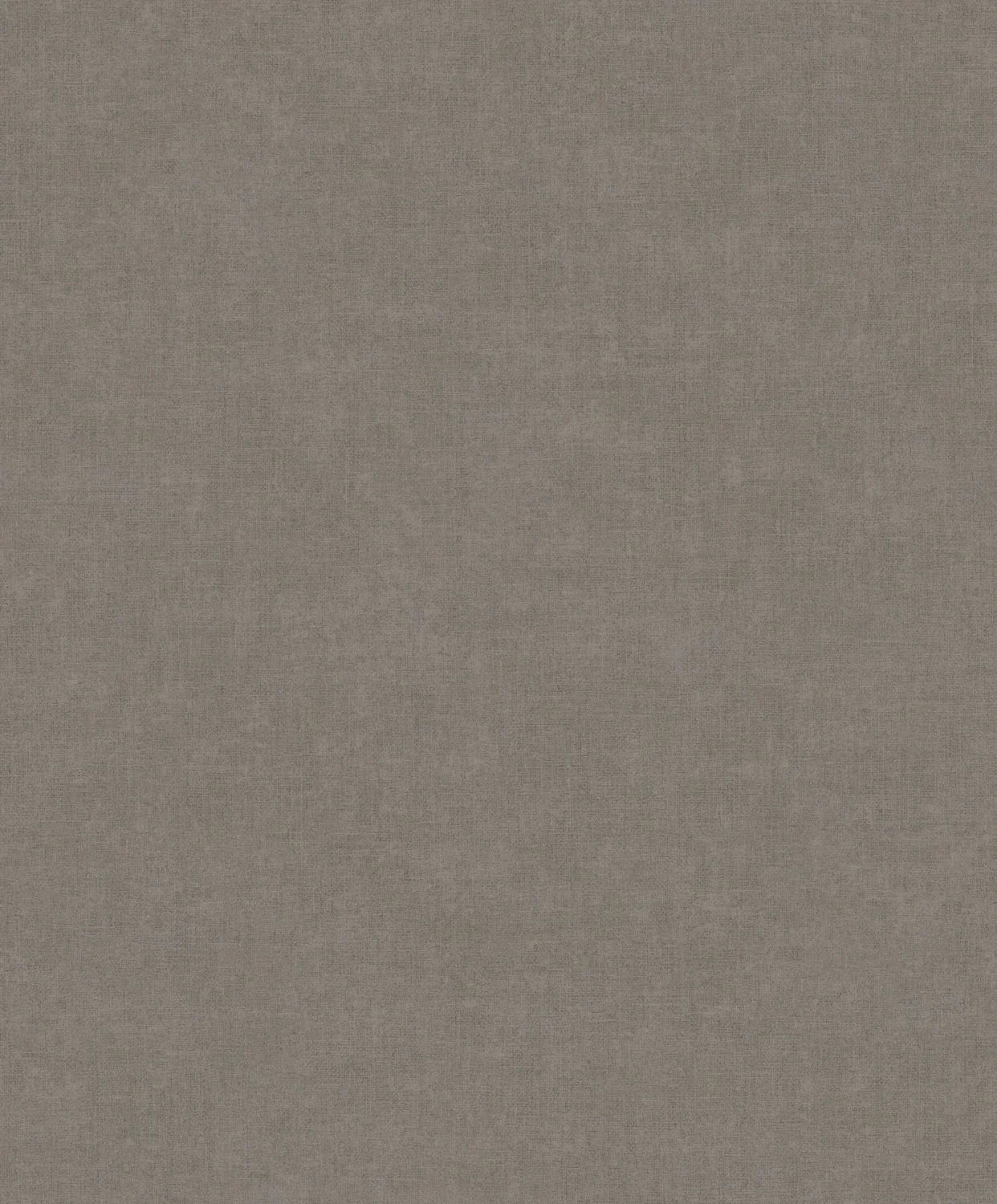 Linum 3 TT10025